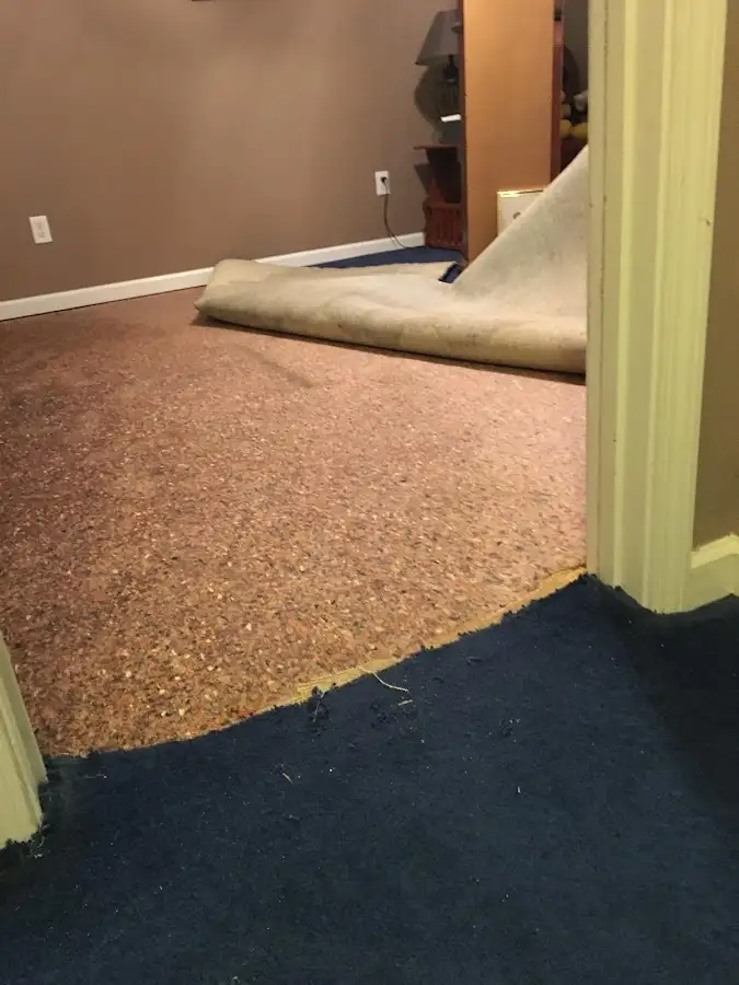 Carpet pad removal revealing water damage during Drying & Dehumidification in Sudbury