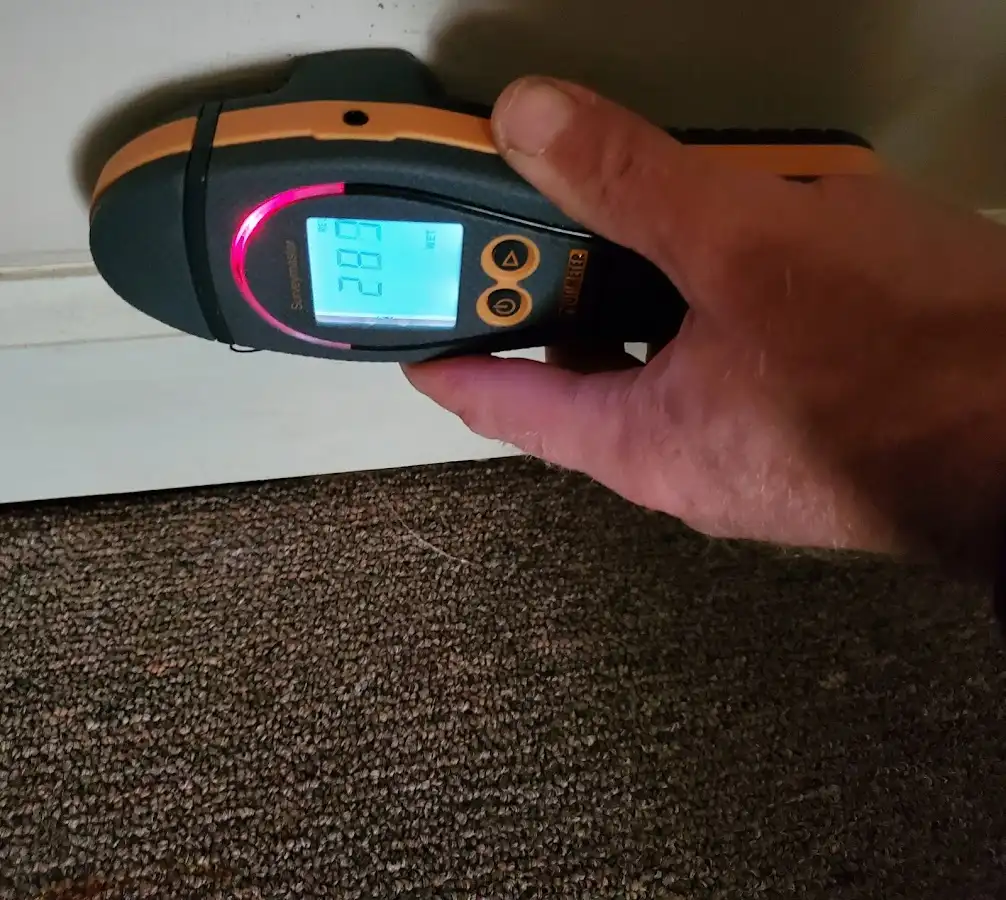 Moisture detection at baseboard during Sewage Cleanup & Sanitation in Sudbury
